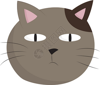 灰色猫矢量或彩色插图高清图片