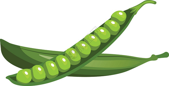卡通豌豆白色背景下的绿豌豆矢量图解卡通插画