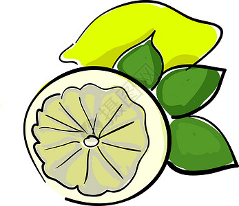 柠檬矢量或彩色插图背景图片