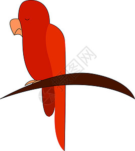 树上鹦鹉 矢量或彩色插图背景图片