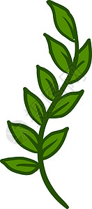白色背景上的绿叶插画矢量植物生态生物绿色装饰品飞行草本背景图片