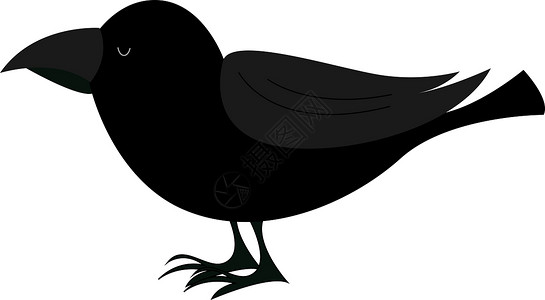 黑鸟素材ps黑乌鸦站立 插图 白背景的矢量设计图片