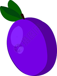 白色背景上的紫色扁平饮食叶子甜点李子水果修剪插图营养季节季节性背景图片