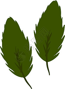 绿树叶 插图 白色背景的矢量背景图片