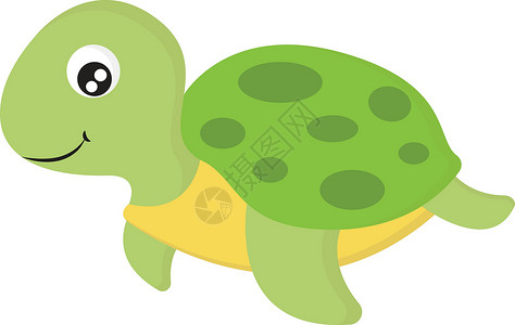矢量海龟可爱海龟 插图 白色背景的矢量插画