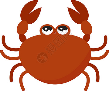 白色背景上的可爱野生动物贝类乐趣红色动物海滩插图螃蟹卡通片荒野背景图片