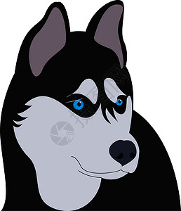 阿拉斯加雪橇犬西伯利亚霍斯基 蓝眼睛 插图 白面包上的矢量插画
