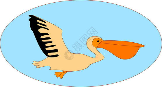 鹈鹕飞白色背景上的飞鹈鹕插画