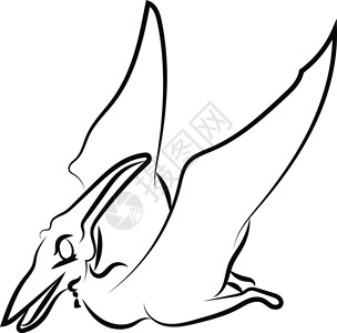 自然古村寨Pteranodon 绘图 插图 白色背景的矢量插画