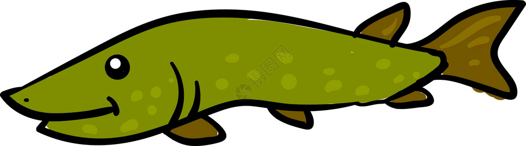 白色背景上的快乐绿色梭子鱼插画矢量背景图片
