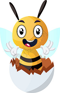 大一新生蜜蜂从破裂的鸡蛋上挥舞着白色背面的插图矢量设计图片