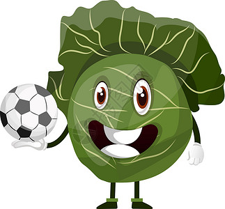 结球生菜卷心菜拿着一个足球球 插图 白色的矢量插画