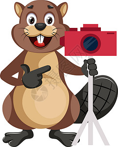 动物照片海狸与在白色背景上电影乐趣荒野技术卡通片牙齿照片动物森林快乐设计图片