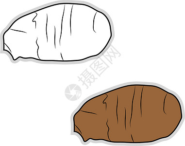 椰油插图 白色背景的矢量碳水农业土豆美食情调化合物叶子绘画植物食物插画