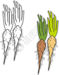 蔬菜串白色背景上的矢量 新鲜的解析 插图 矢量插画