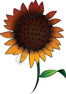 带有茎矢量或彩色插图的向日葵背景图片