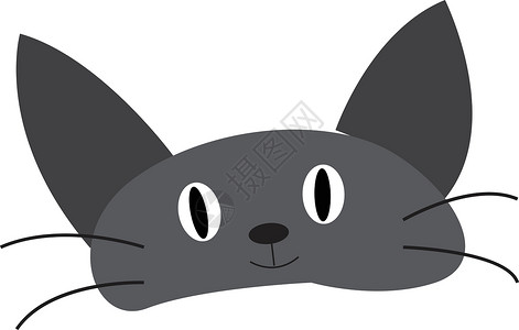 猫睡觉脸灰色婴儿猫脸矢量或颜色说明设计图片