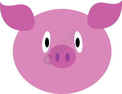 婴儿粉红猪矢量或彩色图案绘画猪肉插图小猪动物困惑耳朵农场宠物粉色背景图片