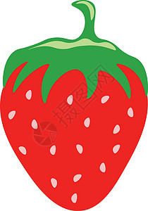 草莓矢量或颜色插图背景图片