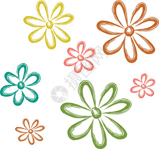 Aster 花朵矢量或颜色插图背景图片
