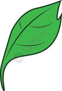 绿叶矢量或颜色说明绘画插图绿色绿色植物背景图片