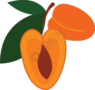 杏子图片白色 backgr 上的两个卡通橙色杏子矢量设计图片