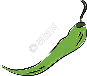 绿色辣椒白色背景的热绿色胡椒插图矢量插画