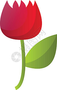 白色背景上的红花的简单矢量插图Name背景图片