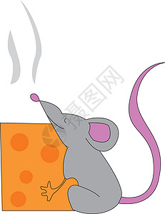 一只爱上黄色奶酪矢量图或彩色插图的灰鼠插画