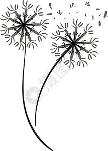 一对蒲公英剪影矢量或彩色图案植物绘画植物群环境花瓣日落插图背景图片