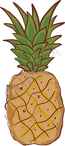 刺果柏一个卡通的菠萝果 整个水果 绿色树叶 甜甜和旋转插画