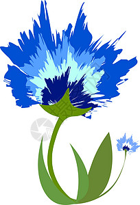 美丽的蓝色花朵水彩花园花瓣植物墙纸叶子植物学剪贴绘画插图背景图片
