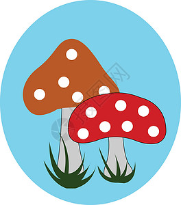 两个红色蘑菇在蓝色背景矢量或颜色i上对两个蘑菇进行纵向喷射插画