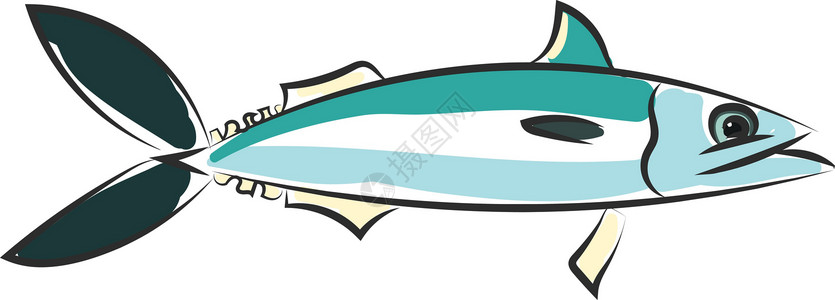 鱼矢量或彩色插图的绘图背景图片