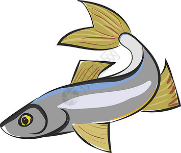 Sig 鱼类矢量或颜色插图的剪贴板背景图片