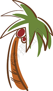 高大的棕榈树矢量或彩色图案背景图片