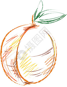 绘制杏树果 向量或彩色病症的儿童草图设计图片
