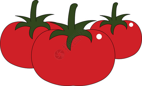 手绘番茄设计 插图 白色背面的矢量背景图片