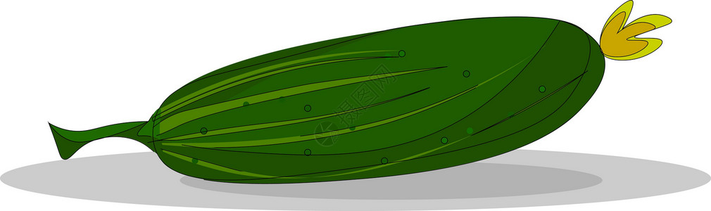黄瓜矢量或彩色插图花园沙拉农业绿色饮食食物厨房绘画营养蔬菜背景图片