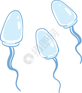 右输卵管向上 向矢量或c方向移动的一组蓝精子涂漆插画