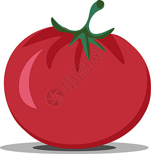 舍南索红番茄/索拉南液积 矢量或颜色的滑板插画