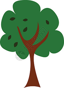 伍迪艾伦树/Woody常年植物 矢量或颜色说明插画