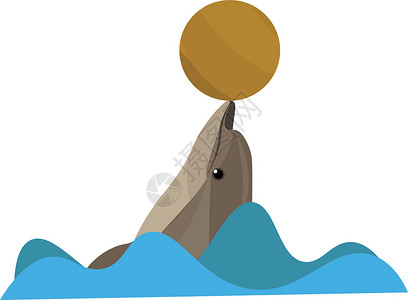海豚玩球矢量或彩色插图的图像高清图片