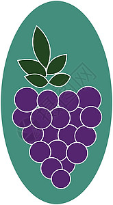 葡萄矢量或彩色插图季节绿色紫色树叶圆形农业椭圆形绘画果汁水果背景图片