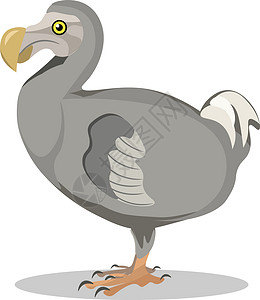 鸟化石Dodo 矢量或颜色图解的图像插画