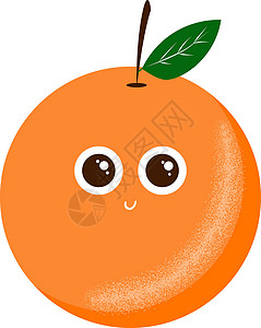 橙色水果吃矢量图或彩色插图背景图片