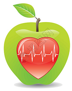 苹果沙拉健康心脏插画的青苹果艺术品营养绘画插图沙拉草本植物药品脉冲水果植物设计图片