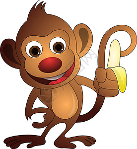 一把香蕉猴子 插图脊椎动物野生动物尾巴绘画哺乳动物宠物毛皮动物眼睛头发插画
