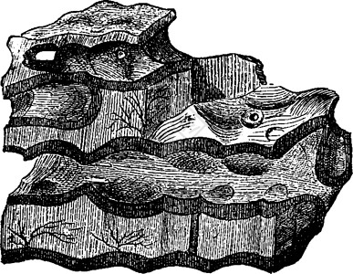 伦布拉迪亚最古老的沉积矿床洛朗亚页岩 尤松峡谷插画