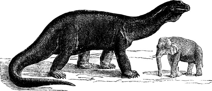 兰古斯汀阿特兰图龙 有史以来最大的动物 古代雕刻插画